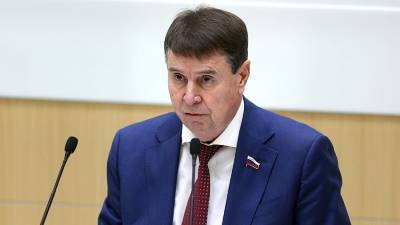 Сенатор назвал оправданием бездействия слова Зеленского о «Спутнике V»