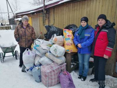 Жители Гатчинского района помогли приюту для бездомных животных