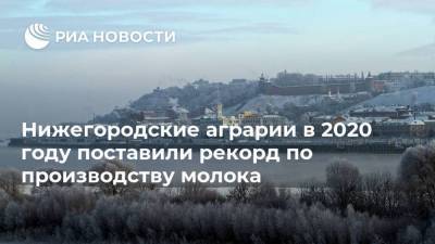 Нижегородские аграрии в 2020 году поставили рекорд по производству молока