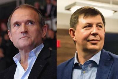 Медведчук и Козак участвуют в крупном российском проекте