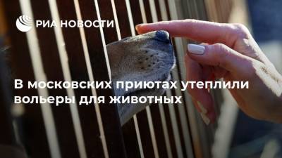 В московских приютах утеплили вольеры для животных