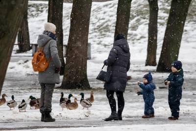 25-градусные морозы ждут жителей Псковской области 9 февраля