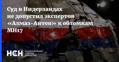 Олег Пулатов - Хендрик Стинхейс - Суд в Нидерландах не допустил экспертов «Алмаз-Антея» к обломкам MH17 - nsn.fm - Украина - Голландия - Амстердам - Донбасс
