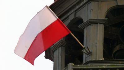 "Еще повезло, что всех не пнули": поляки одобрили высылку дипломатов ЕС из РФ