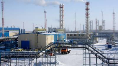 «Газпром» сообщил о сокращении доходов от экспорта сырья в 2020 году