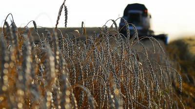 Правительство утвердило гибкую экспортную пошлину на пшеницу, кукурузу и ячмень