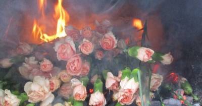 В России сожгли зараженные трипсом гвоздики из Латвии