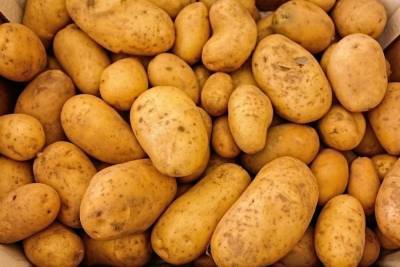 20 тонн картофеля не доехали до Петербурга из Псковской области