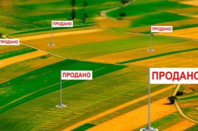 Украинский рынок земли выведут из тени: сколько будет стоить гектар
