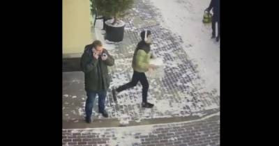 В Москве нашли похитителя ящика с пожертвованиями бездомным собакам