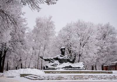 Мороз в Рязанской области усилится до -31 °С