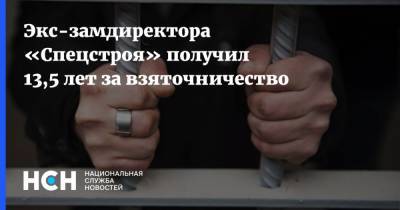 Экс-замдиректора «Спецстроя» получил 13,5 лет за взяточничество - nsn.fm - Москва