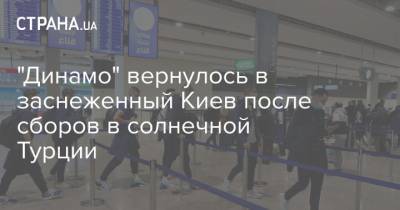 "Динамо" вернулось в заснеженный Киев после сборов в солнечной Турции