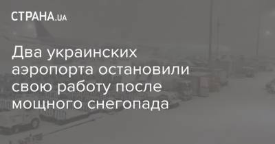 Два украинских аэропорта остановили свою работу после мощного снегопада