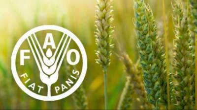 Украина вошла в Комитет по всемирной продовольственной безопасности