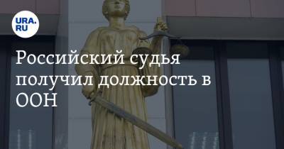 Российский судья получил должность в ООН