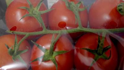 Россельхознадзор снял запрет на ввоз томатов с пяти предприятий Казахстана