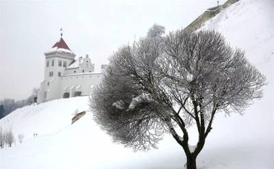До 28 градусов мороза ожидается в Беларуси 8 февраля