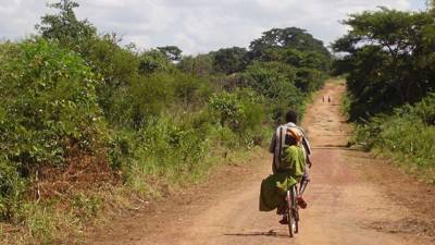 Паразитолог назвал поджидающие туристов опасные болезни в Африке