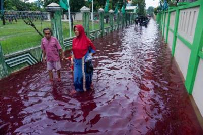 Село в Индонезии затопило водой красного цвета. Видео