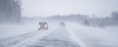 Из-за метели в Новосибирской области ограничили движение автобусов