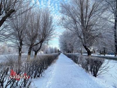 В Соль-Илецк пришли морозы: какая погода будет на этой неделе
