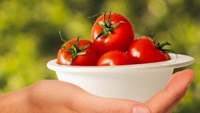 Казахстанские томаты вновь появятся на полках российских магазинов