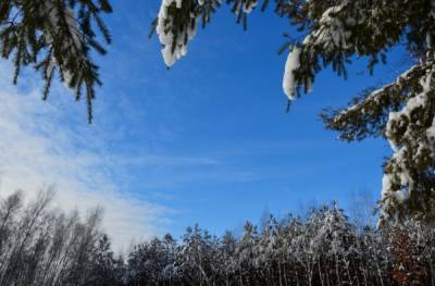 Холода накрыли Центральную Россию, ближайшее потепление синоптики ждут к выходным – Учительская газета