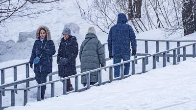 Синоптики предупредили москвичей о снеге и гололедице 9 февраля