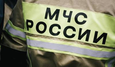 Начальник МЧС в Викулово не забрал заявление об увольнении
