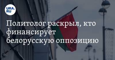 Политолог раскрыл, кто финансирует белорусскую оппозицию