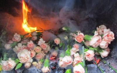 Партию зараженных гвоздик из Латвии сожгли в Петербурге