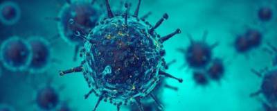 Британский штамм коронавируса мог дойти до США в ноябре 2020 года