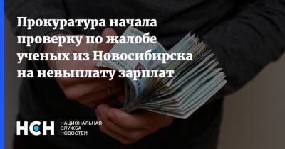 Прокуратура начала проверку по жалобе ученых из Новосибирска на невыплату зарплат