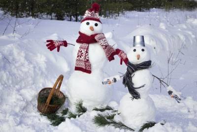В Костромской области запустили флэш-моб «Парад снеговиков»
