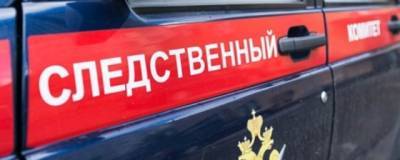 В Воронеже СКР проверит факт нападения бродячих собак на девочку