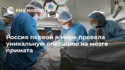 Россия первой в мире провела уникальную операцию на мозге примата