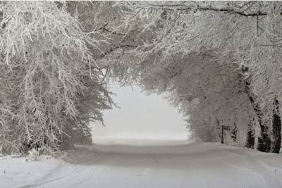 В Тверской области слишком долго убирали снег с дорог между школами