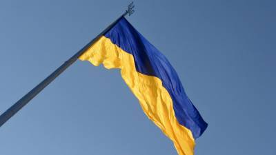 Совет Европы пообещал защитить нацменьшинства на Украине