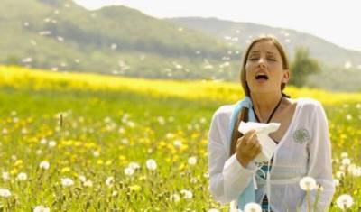 Ползучая аллергия: за последние 30 лет сезон пыльцы удлинился на 20 дней