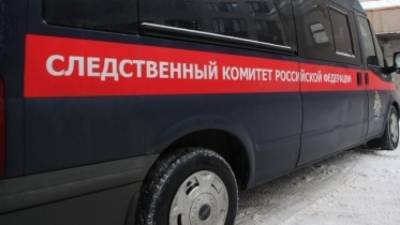 Красноярские следователи задержали подозреваемого в убийстве ветерана труда