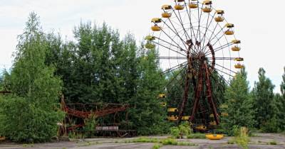 В Чернобыльской зоне будет работать специальный пожарный отряд