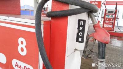 ФАС проверит обоснованность роста цен и причины дефицита бензина в Приморье