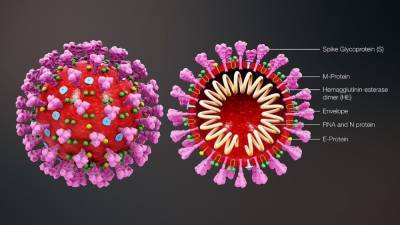 Определена убивающая коронавирус погода