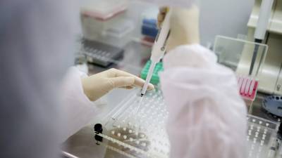 В России за сутки выявили 15 019 случаев коронавируса