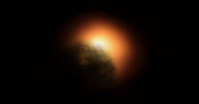 Звезда Бетельгейзе находится на первой стадии взрыва в сверхновую, – ученые