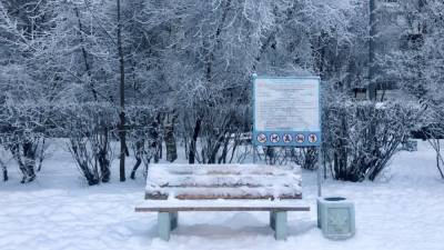 Вильфанд сообщил о возможном повторении сильных морозов в России