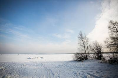 В Ленобласти обнаружили вмерзшее в ледяной пруд тело художницы