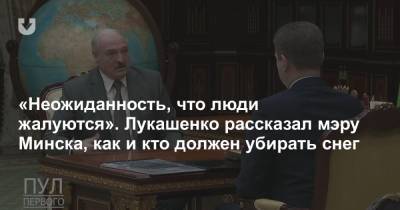 «Неожиданность, что люди жалуются». Лукашенко рассказал мэру Минска, как и кто должен убирать снег