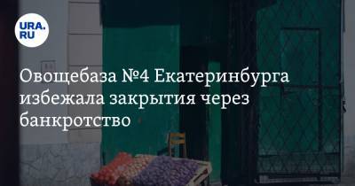 Овощебаза №4 Екатеринбурга избежала закрытия через банкротство